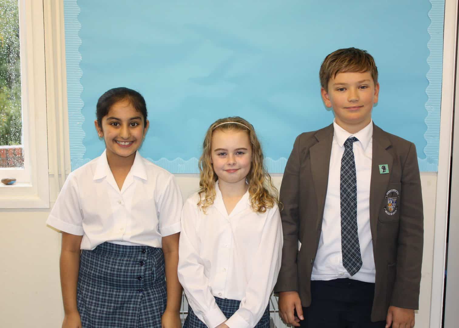 Featured image for Year 5 and 6’s PSHCE lessons on democracy
